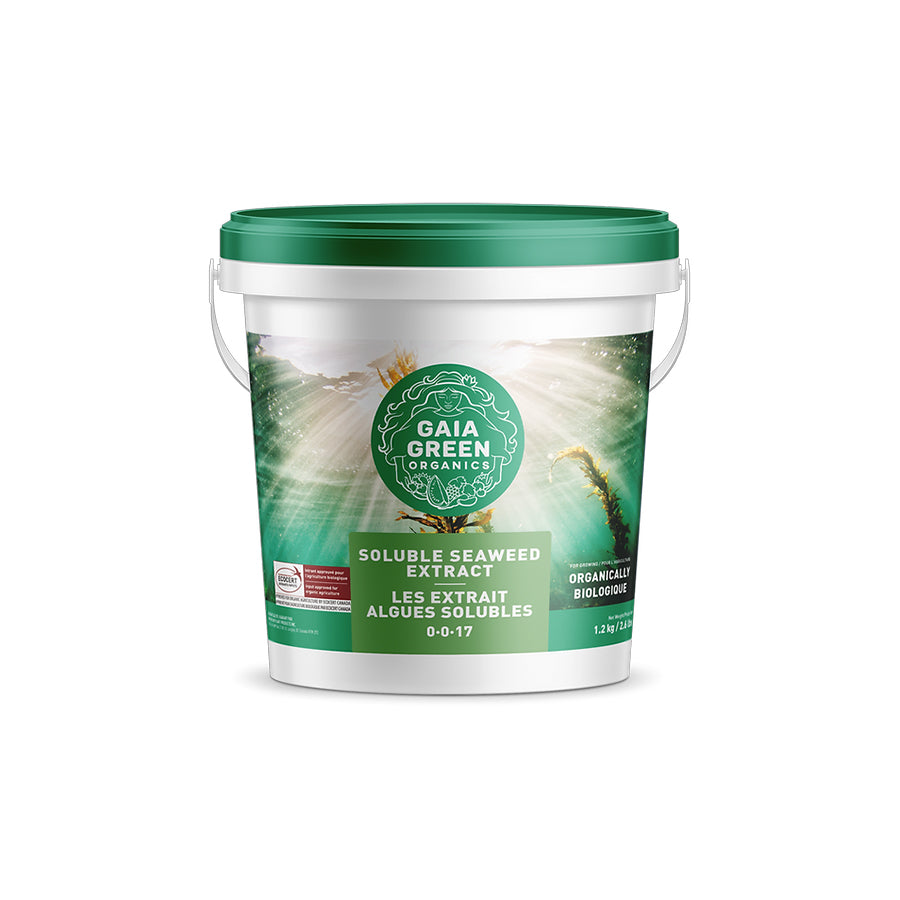 Gaia Green Soluble Seaweed Extract, a fertilizer with an N-P-K ratio of 1-1-17, designed to enhance plant growth, root development, and stress resistance.