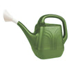 2 Gallon Watering Can