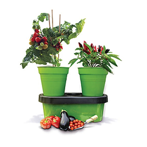 Duo Grow Self Watering Pot System